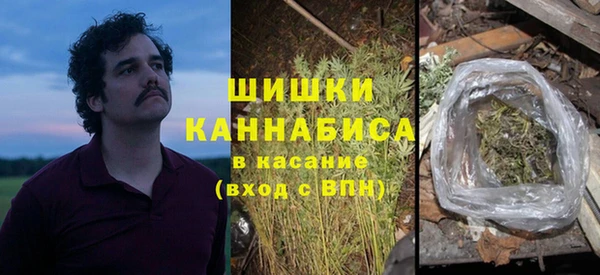 ГАЛЛЮЦИНОГЕННЫЕ ГРИБЫ Билибино