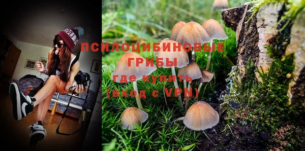 дживик Нефтекумск