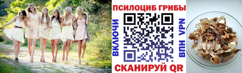 Псилоцибиновые грибы мицелий  Островной 
